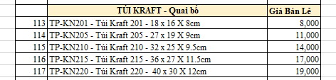 tui giay kraft quai bo